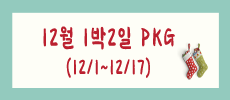 12 PKG ̿ 12/1~12/17